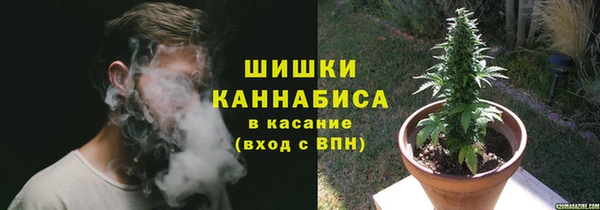 прущие крисы Гусев
