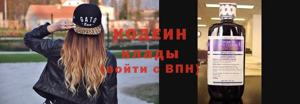 прущие крисы Гусев