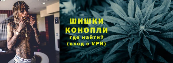 прущие крисы Гусев